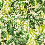 Lonetas Algodón - Ribes y Casals