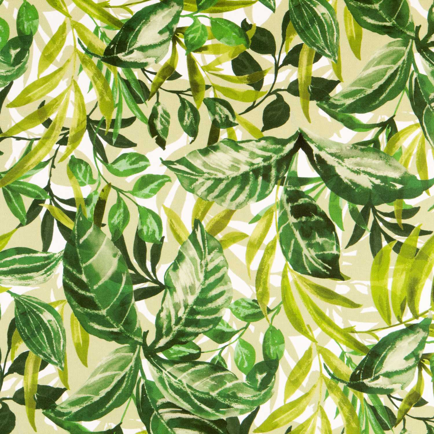 Lonetas Algodón - Ribes y Casals