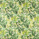 Lonetas Algodón - Ribes y Casals