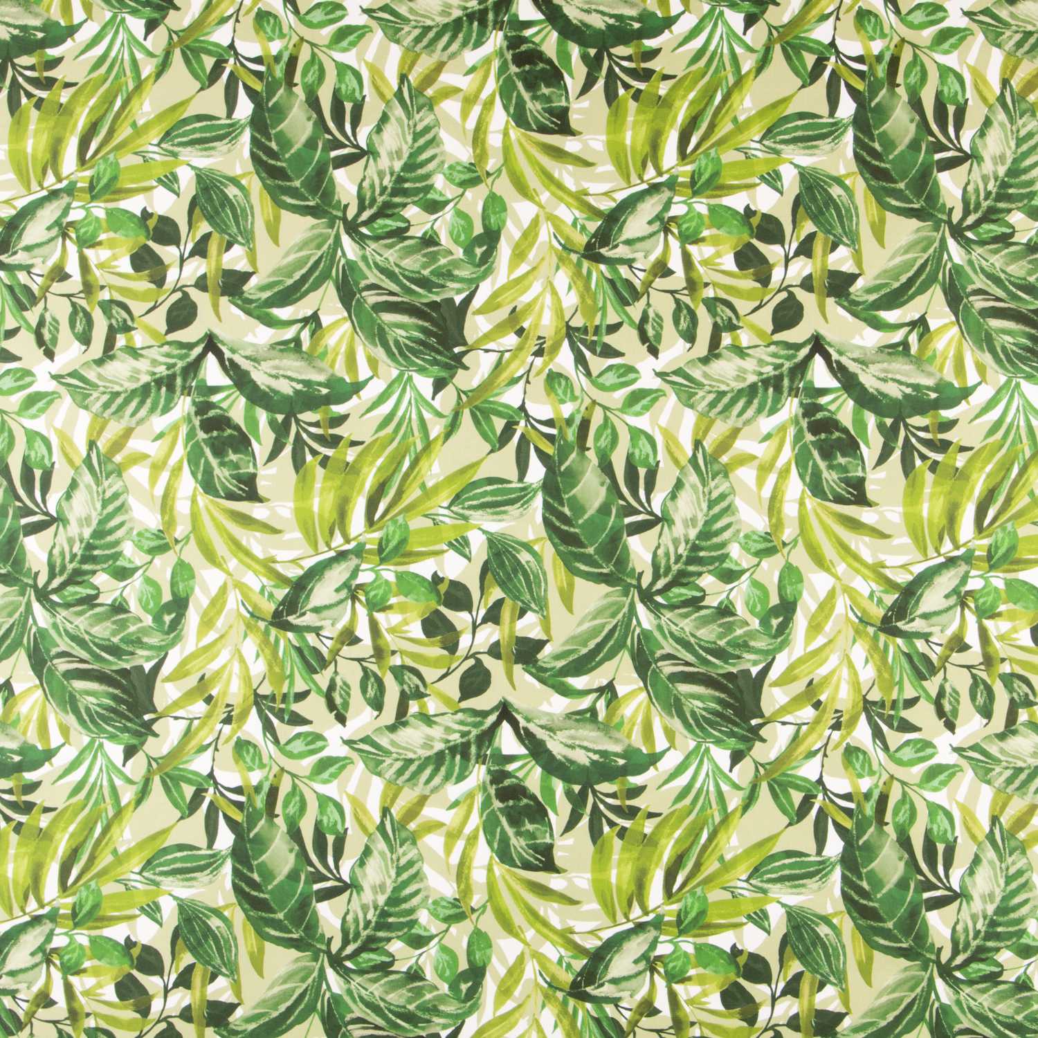 Lonetas Algodón - Ribes y Casals