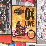 Lona Rota 66 - Ribes y Casals