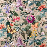 Lonetas Algodón - Ribes y Casals