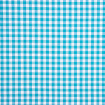Loneta Xadrez Maxi Turquesa - Ribes y Casals
