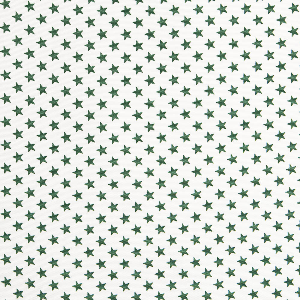 Loneta Estrelas 13 mm Verde - Ribes y Casals