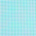 Loneta Vichy Turquesa - Ribes y Casals