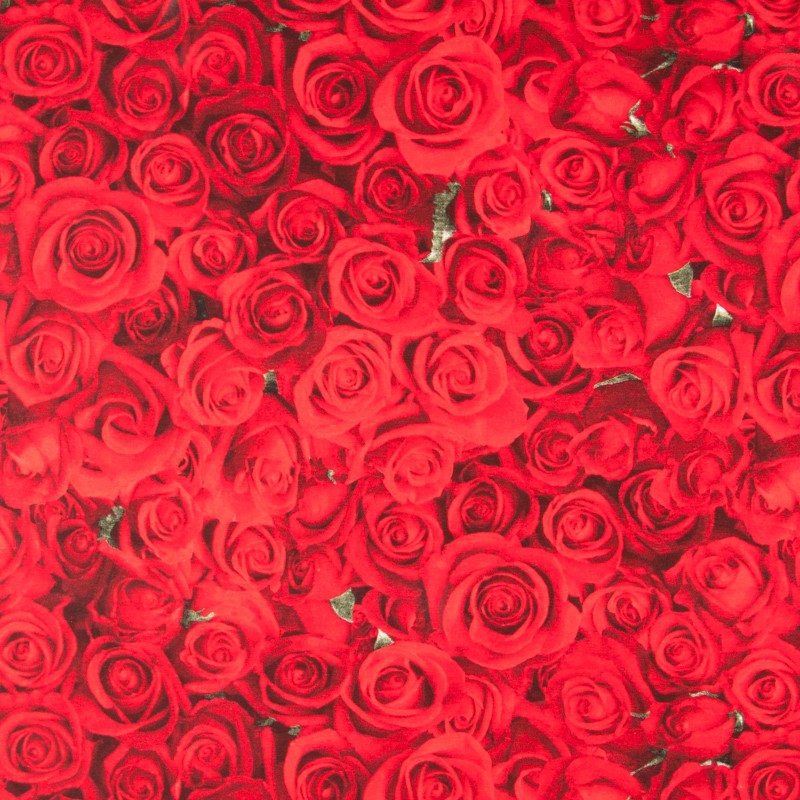 Lonita American Beauty - Ribes y Casals