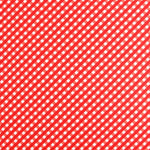 Lycra Baño - Ribes y Casals