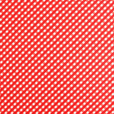 Lycra Baño - Ribes y Casals