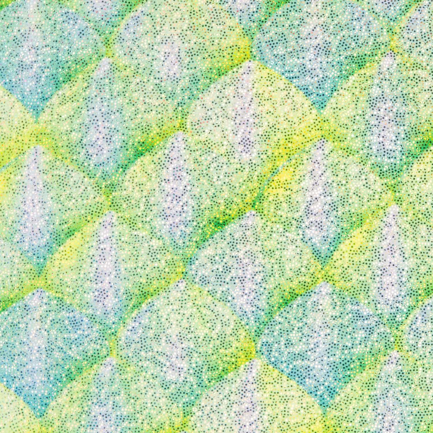 Lycra Escamas Verdes - Ribes y Casals