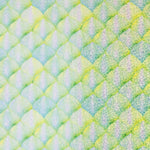 Lycra Escamas Verdes - Ribes y Casals