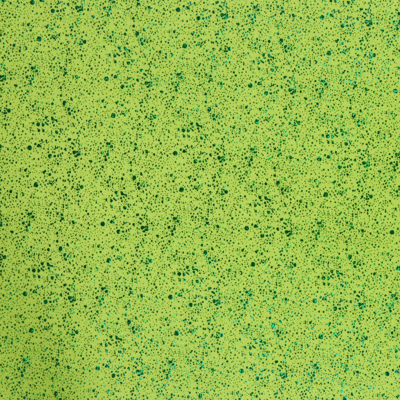 Meteoritos Spandex Pistache - Ribes y Casals