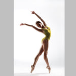 Lycra Hologram Cebra Amarilla - Ribes y Casals