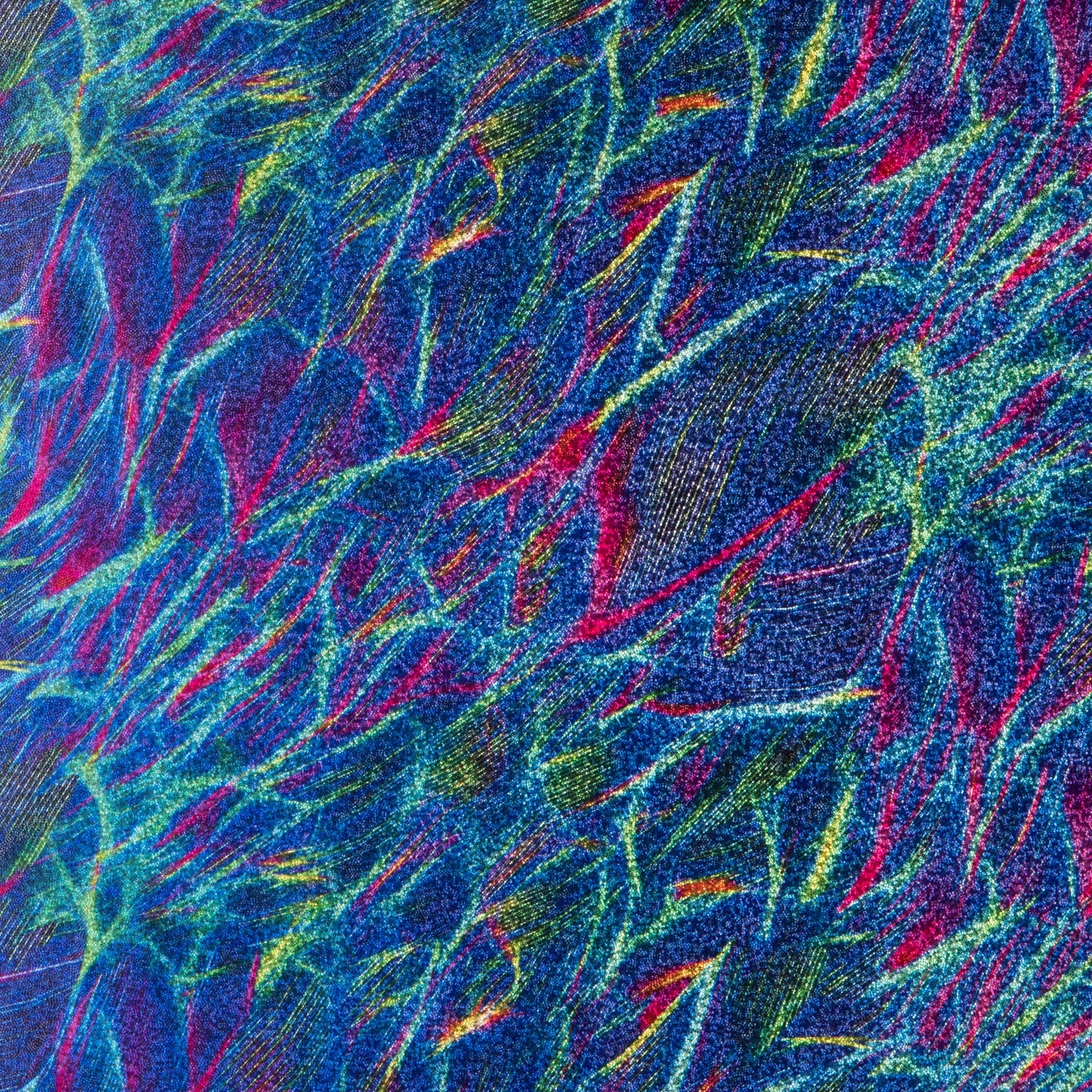 lycra holo - Ribes y Casals