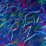 lycra holo - Ribes y Casals