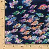 Lycra Banho Peixes - Ribes y Casals