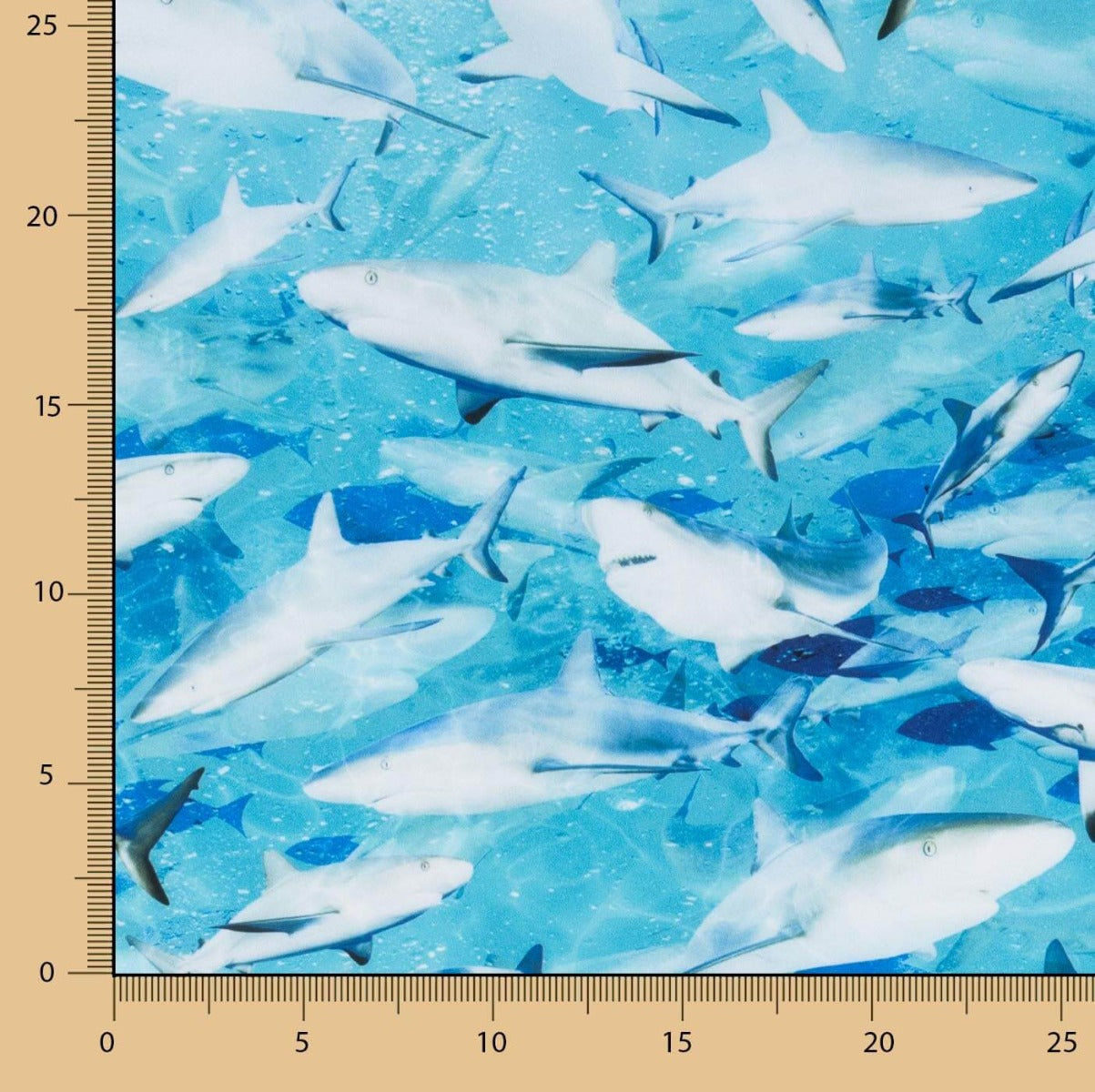 Lycra Banho Tubarão - Ribes y Casals