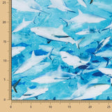 Lycra Banho Tubarão - Ribes y Casals