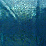 Lycra Cobra Holográfica  Azulão - Ribes y Casals