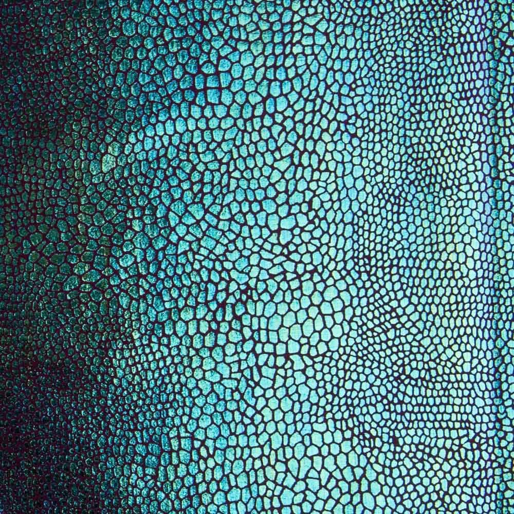 Lycra Cobra Holográfica Bordéus - Ribes y Casals