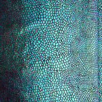 Lycra Cobra Holográfica Bordéus - Ribes y Casals