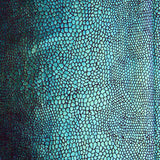 Lycra Cobra Holográfica Bordéus - Ribes y Casals