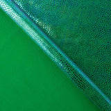 Lycra Cobra Holográfica Verde - Ribes y Casals