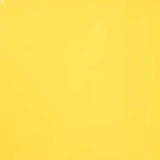 Vinil de Lycra Látex Amarelo - Ribes y Casals
