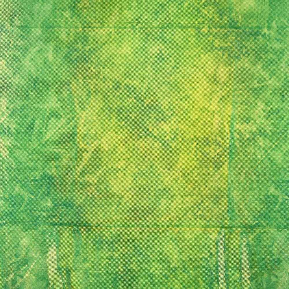 Lycra Holograma Relevo Verde - Ribes y Casals