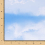 Lycra Estampada Céu Azul - Ribes y Casals