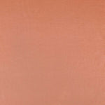 Liocel Argila - Ribes y Casals