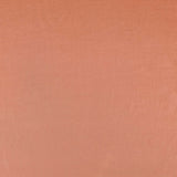 Liocel Argila - Ribes y Casals