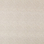 Anti Manchas - Ribes y Casals