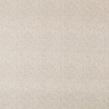 Anti Manchas - Ribes y Casals