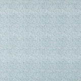 Anti Manchas - Ribes y Casals