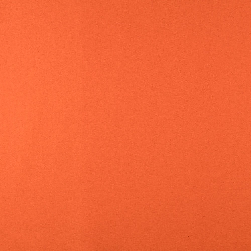 Anti Manchas - Ribes y Casals