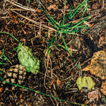 Toalha de Mesa Anti Manchas Ramos Floresta - Ribes y Casals