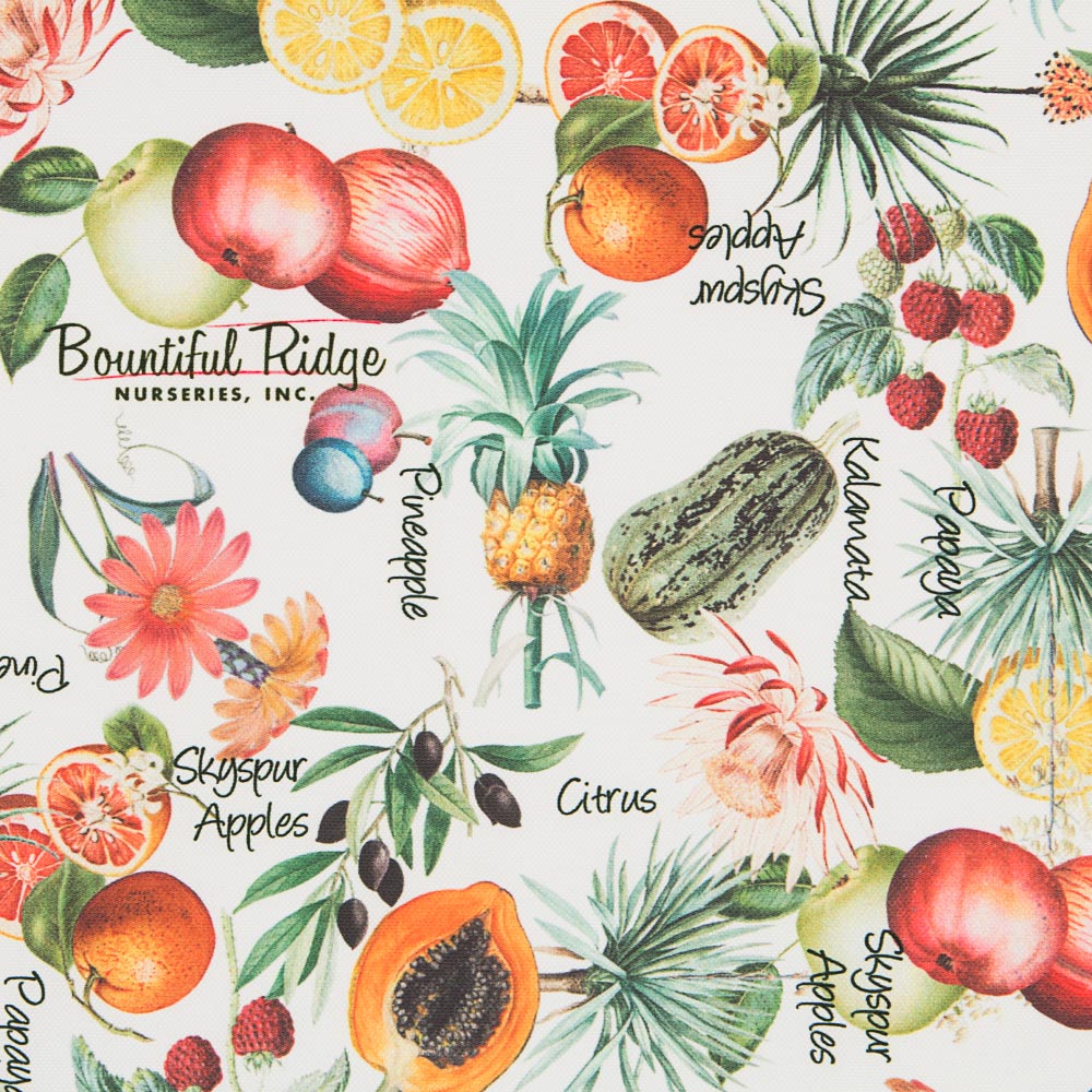 Toalha Citrus Branca - Ribes y Casals