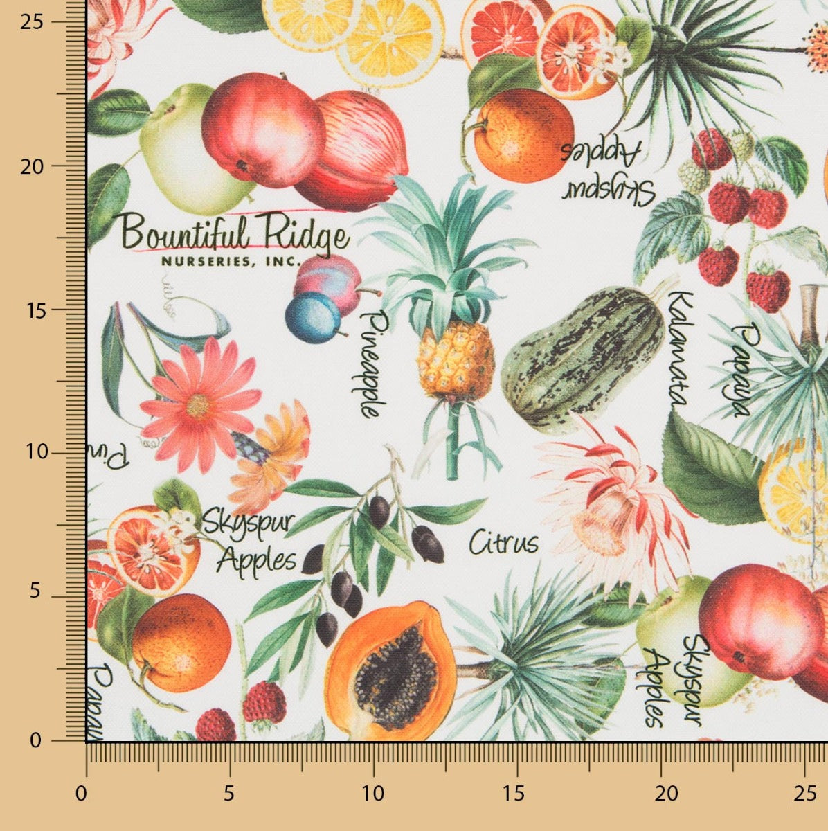 Toalha Citrus Branca - Ribes y Casals