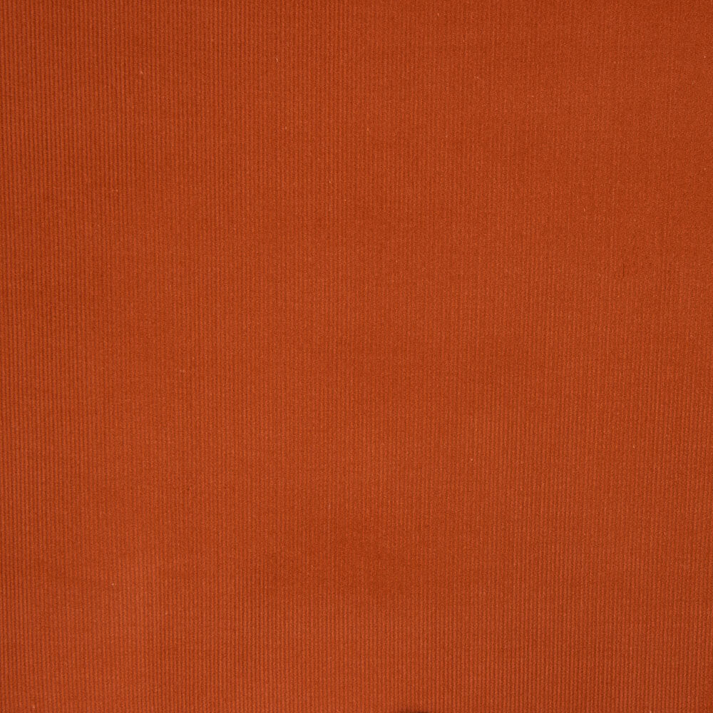 Micro Veludo Algodão Caldeira - Ribes y Casals