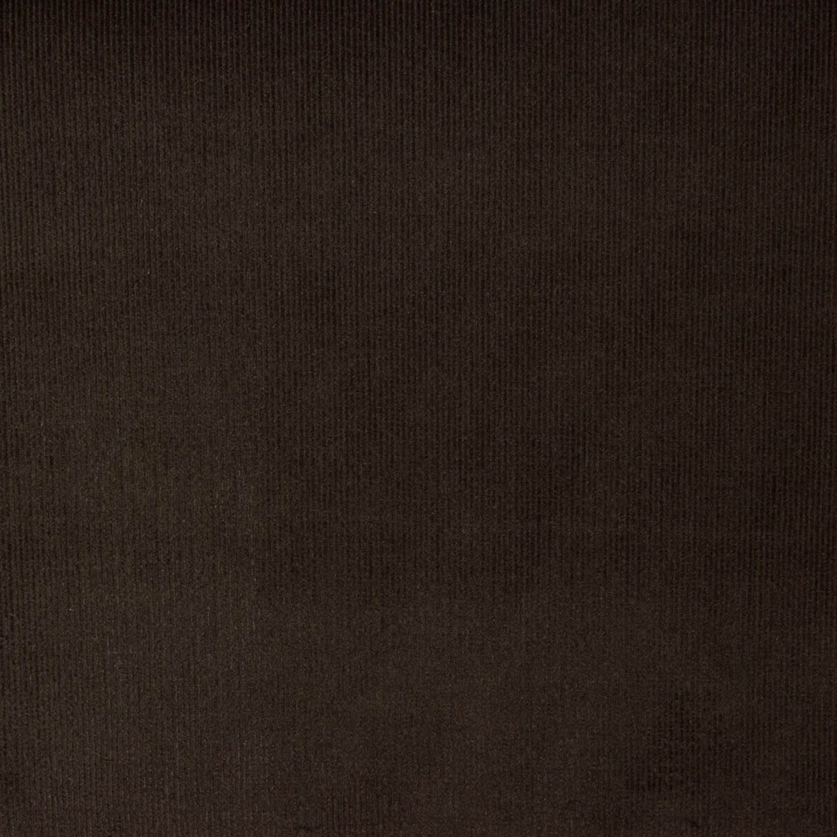 Micro Veludo De Algodão Marrom Escuro - Ribes y Casals