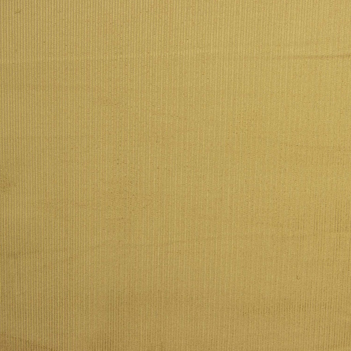 Micro Veludo Fino Camel - Ribes y Casals