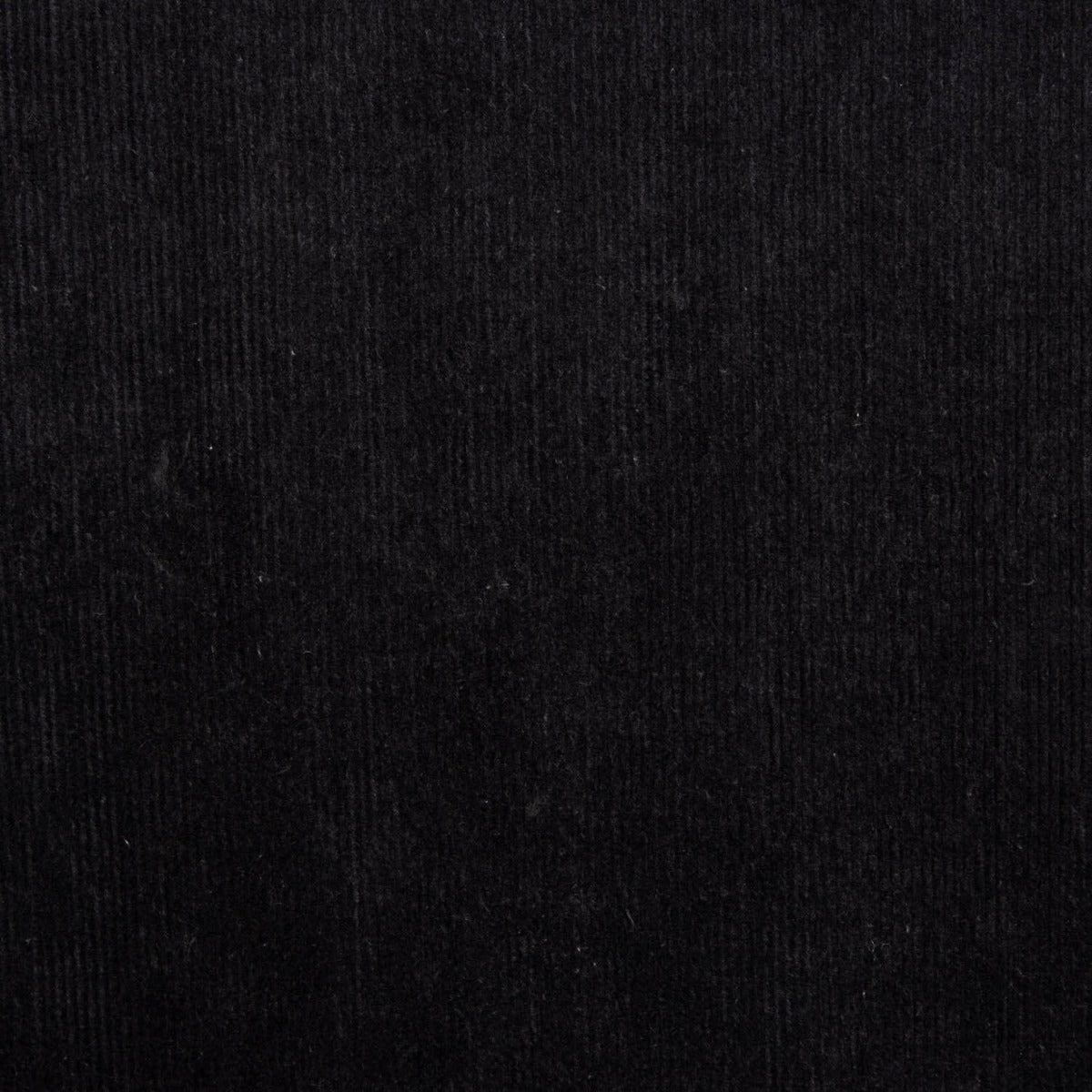 Veludo Fino Elástico Preta - Ribes y Casals