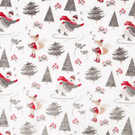 Coralina Estampada Ursos Sky - Ribes y Casals