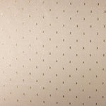 Brocado Plumeti Ouro Branco - Ribes y Casals