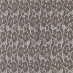 New Blonda Elástica Visón - Ribes y Casals