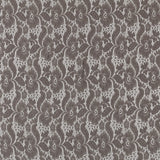 New Blonda Elástica Visón - Ribes y Casals