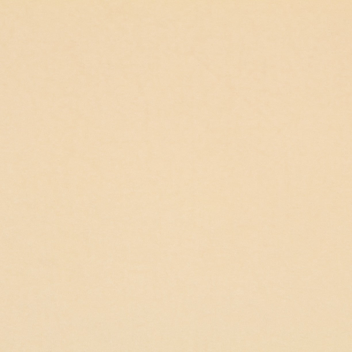 New Terciopelo Elástico Hueso - Ribes y Casals