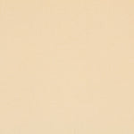 New Terciopelo Elástico Hueso - Ribes y Casals