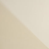 Organdi Poliester Camel - Ribes y Casals