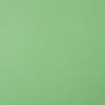 Organdi Poliester Verde - Ribes y Casals